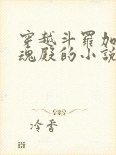 穿越斗罗加入武魂殿的小说