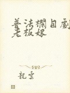 普法栏目剧爱上老板娘封面