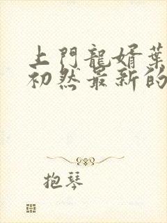 上门龙婿叶辰萧初然最新的封面