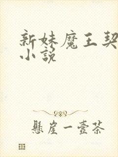 新妹魔王契约者小说