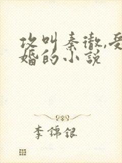 攻叫秦彻,受已婚的小说