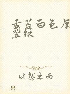 舌苔白色厚腻有裂纹