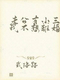 老公有小三但是我不想离婚