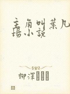 主角叫叶凡的官场小说