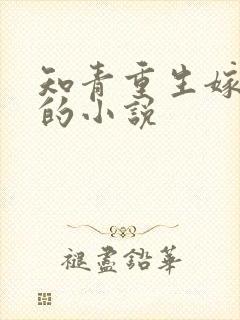 知青重生嫁糙汉的小说