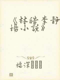 《林皓李静怡官场小说》