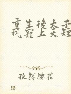 重生后太子爷把我宠上天短剧在线观看