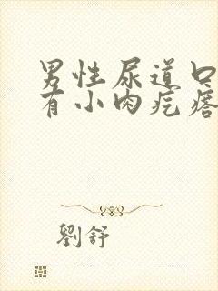 男性尿道口旁边有小肉疙瘩怎么回事