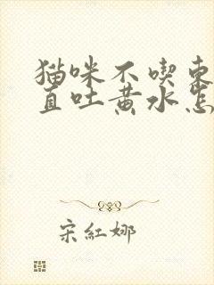 猫咪不吃东西一直吐黄水怎么办