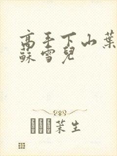 高手下山叶君临苏雪儿