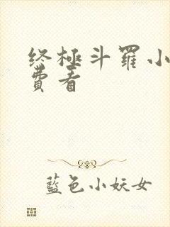 终极斗罗小说免费看