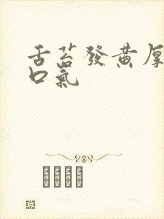 舌苔发黄厚腻有口气