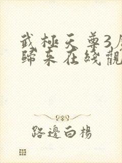 武极天尊3魔方归来在线观看