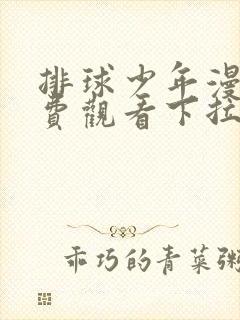 排球少年漫画免费观看下拉式封面