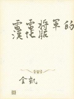 雷电将军的奖励汉化版