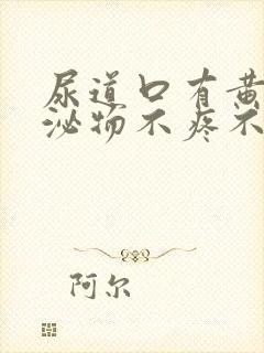 尿道口有黄色分泌物不疼不痒