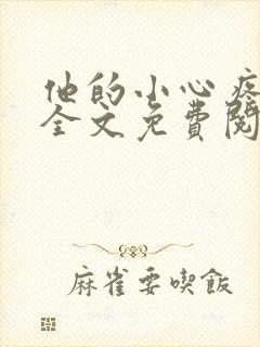 他的小心疼小说全文免费阅读封面