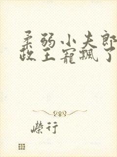 柔弱小夫郎被摄政王宠飘了txt