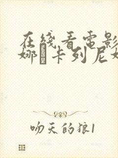 在线看电影 安娜·卡列尼娜720p封面