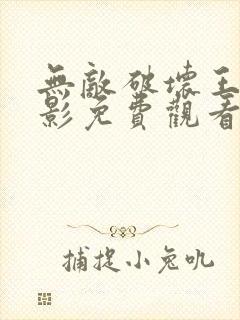 无敌破坏王2电影免费观看中文版