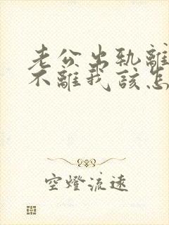 老公出轨离婚他不离我该怎么办封面