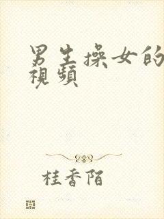 男生操女的免费视频