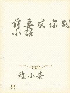 前妻求你别改嫁小说