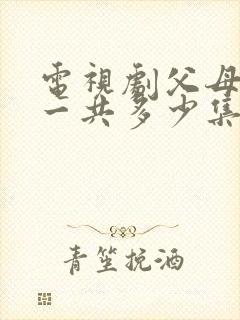 电视剧父母爱情一共多少集封面