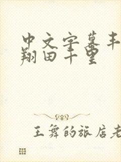 中文字幕丰满的翔田千里