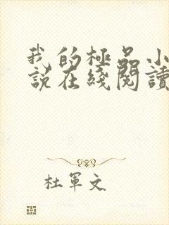 我的极品小姨小说在线阅读全文