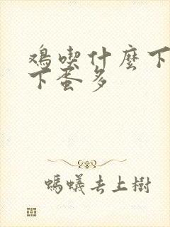 鸡吃什么下蛋快下蛋多