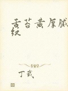 舌苔黄厚腻有裂纹