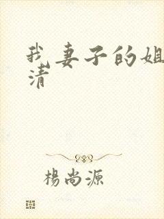 我妻子的姐姐高清