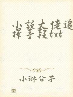 小说大佬追妻不择手段txt