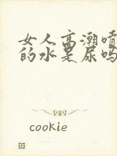 女人高潮喷出来的水是尿吗