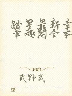 踏星最新章节 笔趣阁全本小说