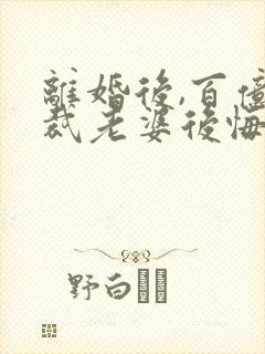 离婚后,百亿总裁老婆后悔了小说