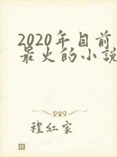 2020年目前最火的小说