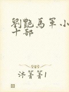 刘艳马军小说第十部