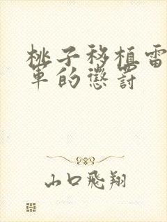 桃子移植雷电将军的惩罚