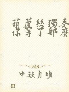 葫芦丝独奏《等你等了那么久》