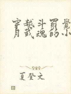 穿越斗罗觉醒日月武魂的小说