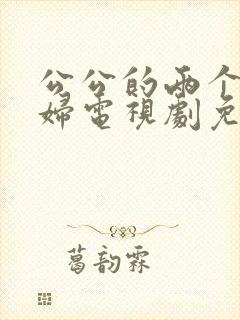 公公的两个儿媳妇电视剧免费观看