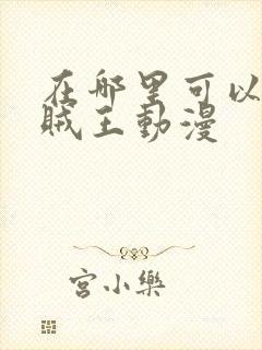 在哪里可以看海贼王动漫