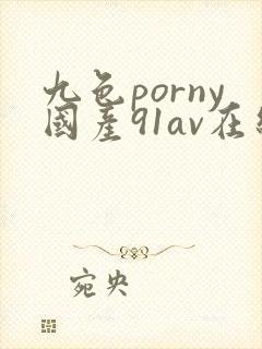 九色porny国产91av在线观看