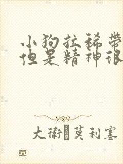 小狗拉稀带血的但是精神很好