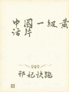 中国一级黄色生活片
