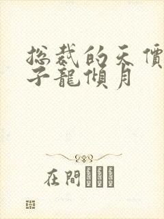 总裁的天价小妻子龙倾月