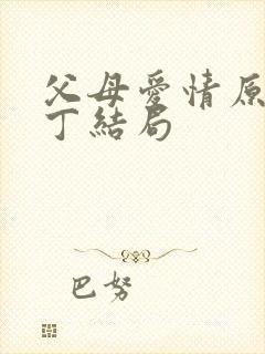 父母爱情原著老丁结局