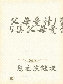 父母爱情1至45集父母爱情